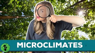 Microclimates  Contributing Factors amp Examples [upl. by Mikol]