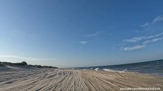 Corolla Beach in 4K  Are There Really Wild Horses Here [upl. by Ffilc]