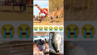 allahor zikir Chormonai 😭 jikir shorts zikir shortvideo viralvideo viralshort [upl. by Moishe505]