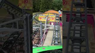 wild mouse i TosselillaTomelilla sweden wildmouse [upl. by Kamillah357]