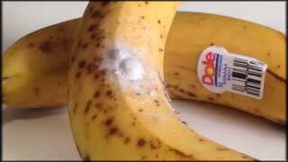 Deadly spiders in your bananas [upl. by Aicela]