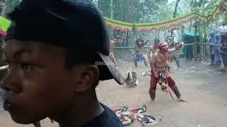 part1Jaran Congklang SURYA MUDA WARGA TRISNA Tersan Gede Salam live Beji BanjaroyaMbqhNdut2024 [upl. by Cogswell832]