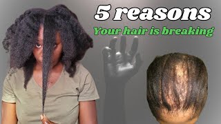 Tips on how to stop hair breakage on 4c hairFast Natural hair growth tips [upl. by Beitch]