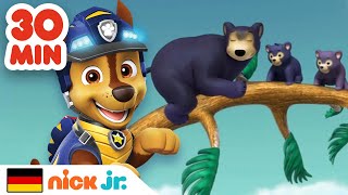 PAW Patrol  30 MINUTEN voller Rettungen niedlicher Tiere  Nick Jr Deutschland [upl. by Gentille487]