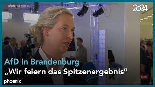 LTW Brandenburg Interview mit Alice Weidel und HansChristoph Berndt AfD [upl. by Ninnahc]