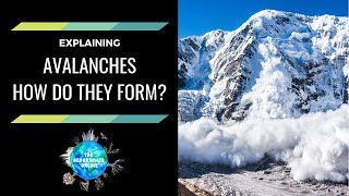 How do Avalanches form and what impacts do they have [upl. by Nnairek]