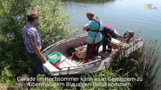 Prüfung auf BlaualgenBefall im Schiedersee [upl. by Alba385]