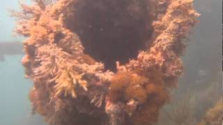 Snorkeling Andes Shipwreck in Deep Bay Antigua2mov [upl. by Keelia]