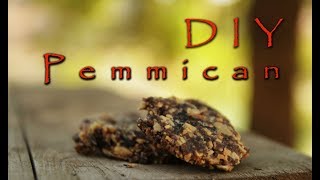 How to make Pemmican  the original DIY survival food [upl. by Othilie522]