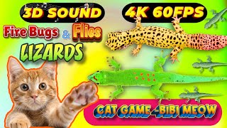 CAT GAMES TOM TV amp BiBi  Ultimate Compilation Catching The LIZARDS  Flies FireBugs🦎11 HOUR🦎Vol 49 [upl. by Zampardi788]