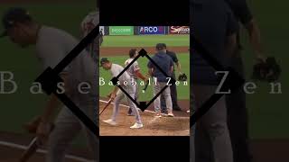 Jose Altuve Foot  BASEBALL ZEN Funny [upl. by Sanyu]