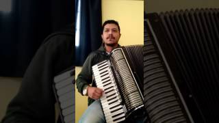 Fabinho Pontes  Despacito na SanfonaGaitaAcordeon Cover Luis Fonsi [upl. by Hartley]