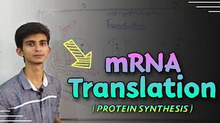 Translation Protein synthesis explained in bangla  Biochemistry [upl. by Mcwherter]