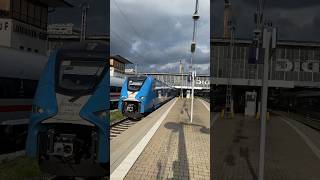 Ein Siemens Mireo Br 463 fährt in München Hbf als RB87 nach Augsburg Hbf aus [upl. by Anilok221]