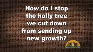 QampA – How do I stop the holly tree we cut down from sending up new growth [upl. by Walkling]