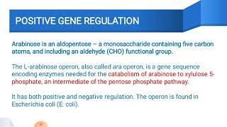 Arabinose operon [upl. by Amerigo]