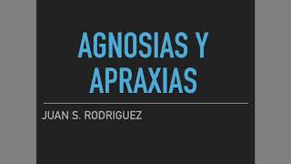 Agnosias y apraxias ¡Todo lo que debes saber [upl. by Bass]