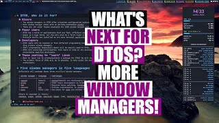 DTOS with Qtile Dwm Exwm Thats The Plan [upl. by Ludmilla]