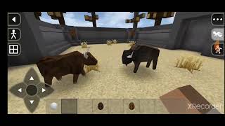 bison vs brown bull fight ❤️ [upl. by Eendyc]