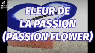 FLEUR DE LA PASSION PASSION FLOWER [upl. by Otrebireh]