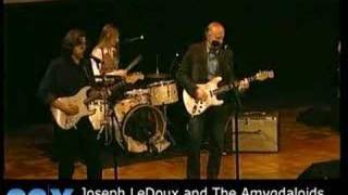 Joseph LeDoux and The Amygdaloids at 92nd Street Y [upl. by Nered]