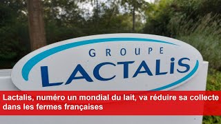 Lactalis numéro un mondial du lait va réduire sa collecte dans les fermes françaises [upl. by Aihsemek]