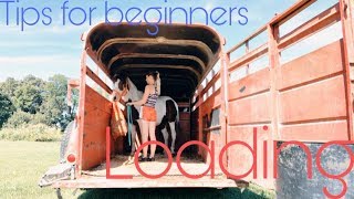 Loading and Trailering Tips for Beginners  Stock Trailer [upl. by Wildermuth544]