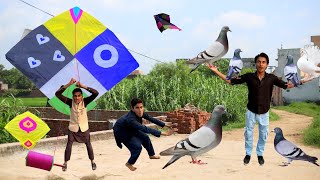 Kite Flying amp New 8 Kabooter Buy Nasir  Kite [upl. by Eirelam513]