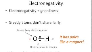 How To Tell if a Bond is Polar or Nonpolar the super easy way [upl. by Tnarg]