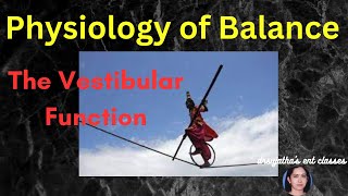 Vestibular System Neuroanatomy Video Lab  Brain Dissections [upl. by Anilosi638]