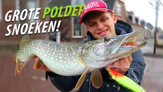 SNOEKEN In De POLDER Snoeken Met Kunstaas amp Shads  LIVE Aanbeet English Subtitles [upl. by Bork]