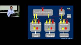 Schizophrene Psychosen Phänomenologie  Ätiologie  Neurobiologie Teil 2 [upl. by Saville]