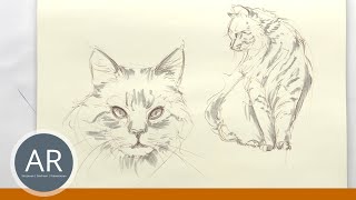 So einfach skizziert du eine Katze TierZeichnungen Tiere einfach illustrieren Zeichenkurse [upl. by Chloette]