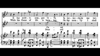 Verranno a te sullaure Lucia di Lammermoor  G Donizetti Score Animation [upl. by Gorlin]