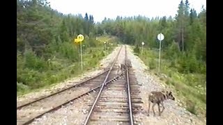 Sweden Inland Railway ARVIDSJAUR  KÅBDALIS 1997 Train Drivers Cab View from YF1 1329 [upl. by Neevan]