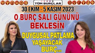 30 EKİM5 KASIM 2023 NURAY SAYARI BURÇ YORUMU O BURÇ SALI GÜNÜNÜ BEKLESİN DUYGUSAL PATLAMA YAŞAYACAK [upl. by Nilekcaj601]