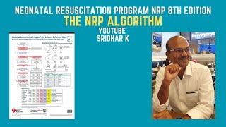 The algorithm 8th edition of NRP NRP8thedition NRP resuscitation [upl. by Elinore]