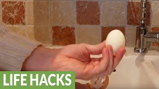 How to peel a hardboiled egg in only 5 seconds [upl. by Hgieliak]