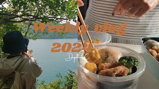 Weekly diary🪵JUNE  house clean before rainy season  best gyutan lunch  first trekking in Nikko [upl. by Ariait]