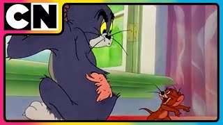 Tom amp Jerry 😺🐭  An Ode to Chaos  Nonstop Masti 🤩 Funny Chases 😆 Only on Cartoon Network [upl. by Nirual]