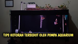 CARA AGAR KOTORAN IKAN TERSEDOT POMPA FILTER [upl. by Astred]