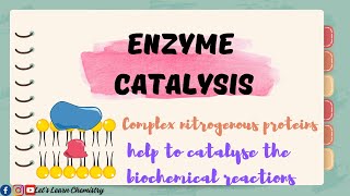 Enzyme catalysis class 11 Examples of enzyme catalysis chemistry [upl. by Sirrot792]