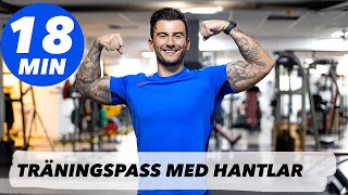 GRYMT TRÄNINGSPASS MED HANTLAR  TRAINWITHSMAIL [upl. by Yelich]