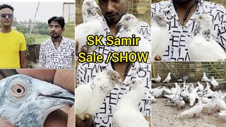 SK SAMIR PIGEON SALESHOW 9121334810 [upl. by Annatsirhc]