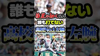 彗星の如く現れた「誰も打てない高校No1左腕」に関する雑学 野球 高校野球 甲子園 [upl. by Briana717]