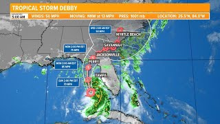 Duval County emergency officials address Tropical Storm Debby [upl. by Giardap]