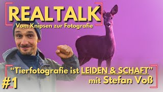 Frust das Gefühl quotich will nicht mehrquot das ist Tierfotografie Doch es geht allen so [upl. by Anawik]