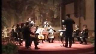 Telemann  Concerto in Re Maggiore [upl. by Tom]