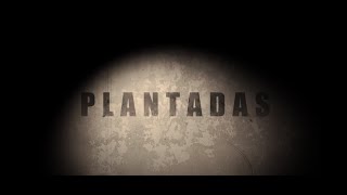 PLANTADAS Official Trailer [upl. by Gothard]