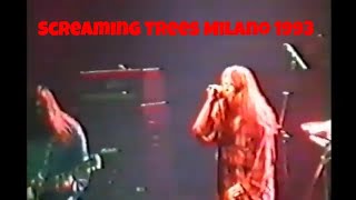 Screaming Trees Live in Milano 1993 [upl. by Alvinia485]